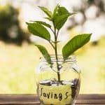 jar with savings little tree inside