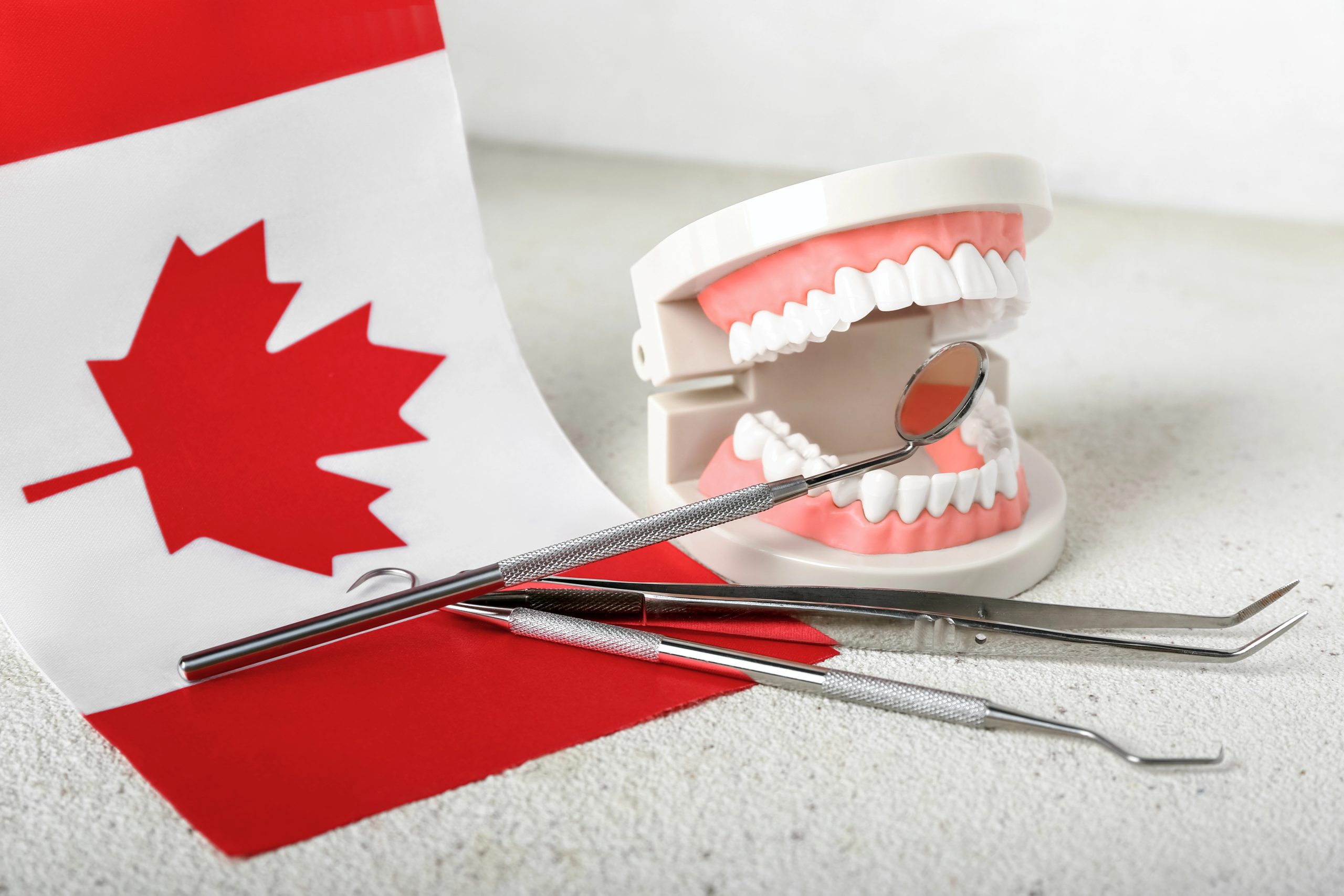 Dental model and dental instruments with a Canadian flag